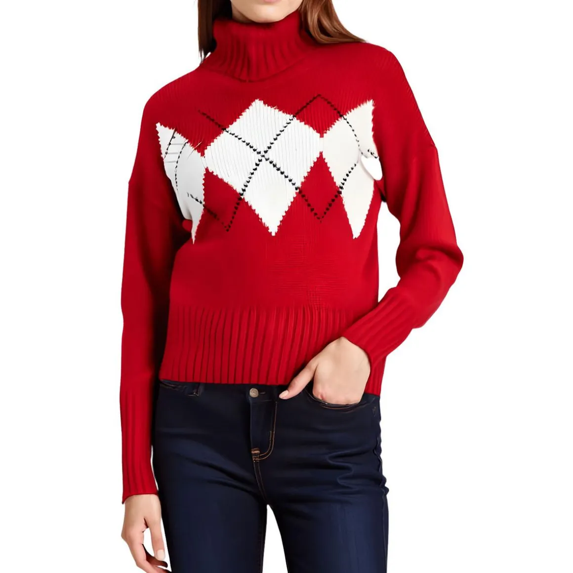 Argyle Ribbed Knit Turtleneck Sweater