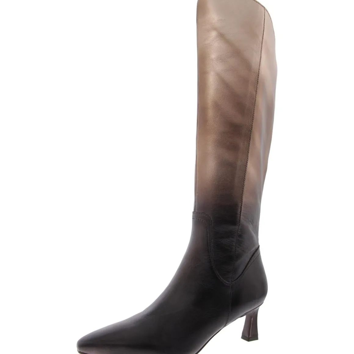Deesha Ombre Metallic Leather Knee-High Boots