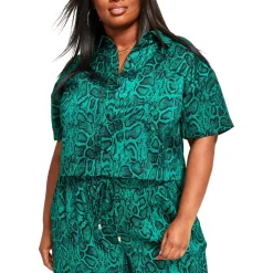 Plus Collar Button down Pullover Top