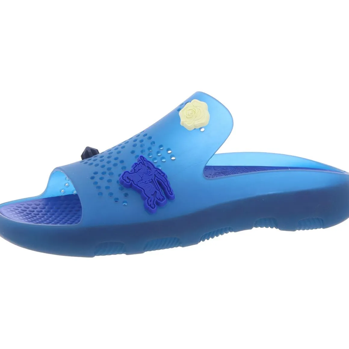 Stingray Rubber Pool Slides